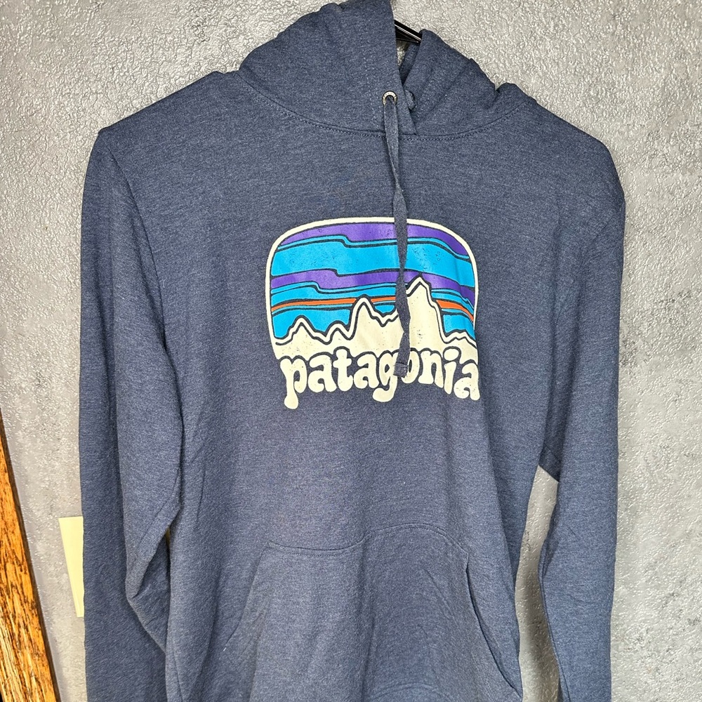 Patagonia Sweatshirt